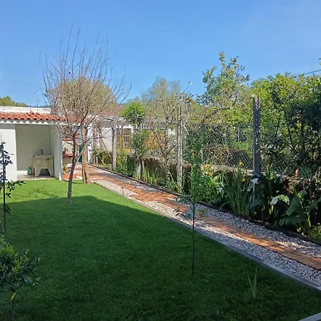 Casa Jose E Maria - Moradia Espacosa Com Jardim No Centro De Брага