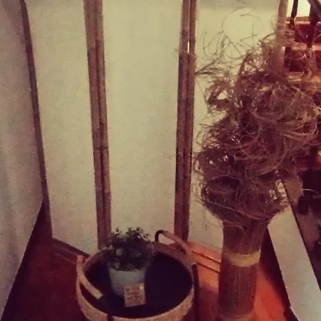 Casa Jose E Maria - Moradia Espacosa Com Jardim No Centro De